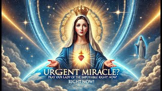 Urgent Miracle Pray This Prayer to Our Lady of the Impossible Right Now [upl. by Paterson454]