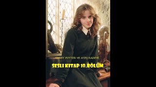 Harry Potter ve Ateş Kadehi  Bölüm 10  En İyi Sesli Kitap [upl. by Neetsirhc701]