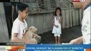 NTG Ginang nakagat ng alagang aso at namatay dahil sa komplikasyon sa rabies [upl. by Keri]