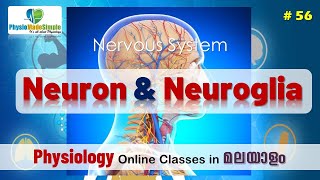 Ep56  Neuron amp Neuroglia  Malayalam [upl. by Naut]