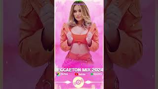 Si antes te hubiera conocido  Karol G Mix 2024 mixreggaeton reggaetonmix karolg latinmix [upl. by Ablem]