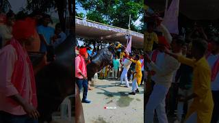 Sadar festival 2024 1mviews Yadav bulls🐂😲 shortsviral NTR stadium Sadar hyderabad [upl. by Bernadine]