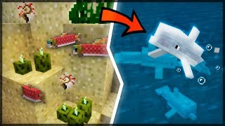 ✔ CHEGARAM OS GOLFINHOS CONCHAS E PEPINOS  MINECRAFT 113  13 [upl. by Nataniel]