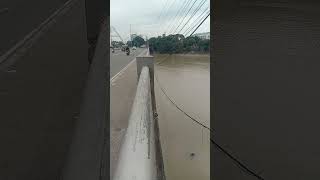 Floodway pasig bridge shorts goingtowork [upl. by Larisa]