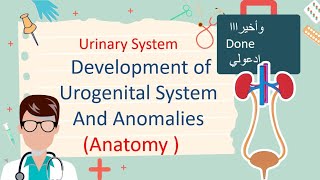 Development of Urogenital System And Renal Anomalies مليان صور توضيحية [upl. by Tanah890]