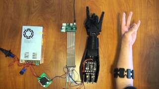 3D Printed Controllable Prosthetic Hand via EMG [upl. by Remat515]