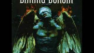 Dimmu Borgir  The Insight and the Catharsis [upl. by Vitkun]