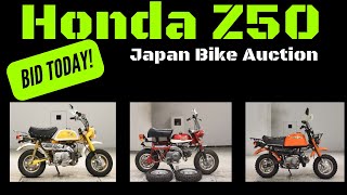 Honda Z50 Monkey Bikes  Buyers Guide [upl. by Frederik60]