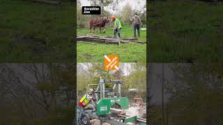 Bosbouw met trekpaarden in Bos tEname shorts zagen paard ambacht bosbouw immaterieelerfgoed [upl. by Cahn]