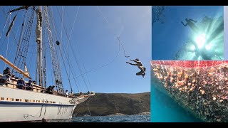 One And All tallship voyage inc freediving via St Joseph Banks islands Althorpe Island etc [upl. by Euqininod]