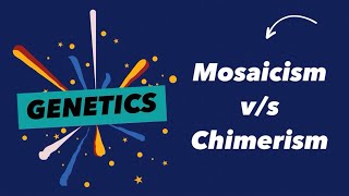 5 Mosaicism and Chimerism [upl. by Swarts24]