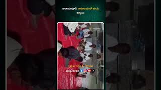 తీర్థ ప్రసాదాలను భక్తులకు అందజేశారు  Ellareddypet Mandal  Telangana  Way2news Telugu [upl. by Drofiar]