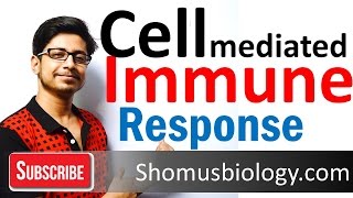 Cell mediated immunity  innate immune response [upl. by Ekaj77]