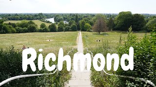 RichmondRichmond Park London Walking Tour [upl. by Madaih]