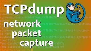 packet capture tutorial using tcpdump [upl. by Aened]