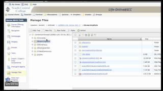 Adding Content to a D2L Course [upl. by Weinhardt]