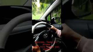 Review Sienta Car  Review Mobil Sienta 2017 [upl. by Airdnoed]