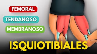 4 EJERCICIOS DE PIERNAS QUE DEBES HACER [upl. by Belter]