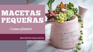 Como Plantar Suculentas en Macetas Pequeñas tips [upl. by Ycats]