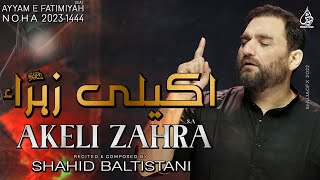 Ayyam e Fatmiyah Noha 2023  Akeli Zahra  Shahid Baltistani  Noha Bibi Fatima Zahra [upl. by Barber]