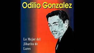 Lo Mejor de Odilio Gonzalez [upl. by Celka]