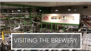 Visiting Stella Artois Brewery  Belgium [upl. by Adyam862]