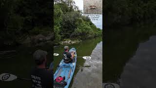 Smallmouth Bass on Crooked Creek  Kayak Fishing  Bonafide RVR 119  Nature [upl. by Ogdan]