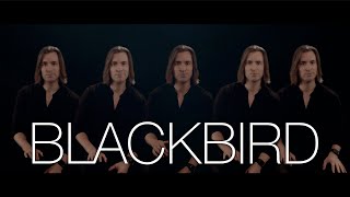 Blackbird  The Beatles  Bass Singer Cover [upl. by Delainey396]