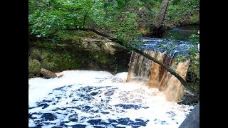 Falling Creek Falls  Lake City Florida  Park 2018 [upl. by Adelaida]