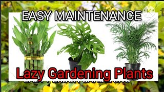 Maintenance Free Plants Permanent plants Easy GARDENING with no fertilizer plants [upl. by Etiuqal]