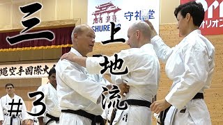 Kiyohide Shinjo senseis Uechiryu karate seminar 3  新城清秀先生の上地流空手セミナー  第一回 沖縄空手世界大会 [upl. by Romo]