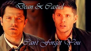 Dean and Castiel  Cant Forget You Angeldove [upl. by Lurleen]