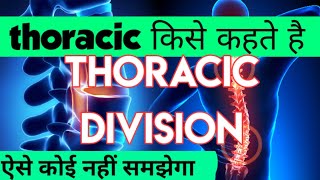 thoracic vertebrae anatomy in hindi  thoracic vertebrae in hindi THORACIC क्या होता है [upl. by Eliott]