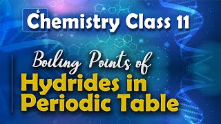 Boiling Points of Hydrides in Periodic Table  States of Matter  Chemistry Class 11 [upl. by Elihu]