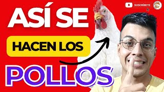 😱 APRENDA A HACER LA RAZA DE POLLO DE ENGORDE ROSS O COBB 💪🏽 [upl. by Becca]