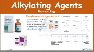 Alkylating Agents Pharmacology Examples MOA Adverse Effects [upl. by Rowell]