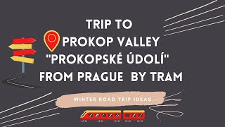 How to get from Prague to Prokop Valley quotProkopské údolíquot by tram  Winter walk  Lockdown vlogs [upl. by Asit]