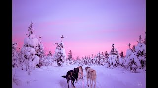 Trip to Lapland Saariselkä [upl. by Dnarud]