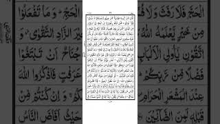 Surah Al Baqarah  Ayat 200 To 203  Quran Recitation [upl. by Enirok547]