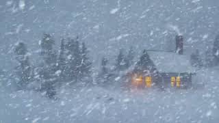 Kalter Schneesturm Vor Dem Holzhaus Heulender Wind Und Fallender Schnee  Natürliche Klänge [upl. by Asiela940]