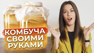 Чайный гриб – ЭТО ПОЛЕЗНО  Как приготовить комбучу в домашних условиях [upl. by Alverson]