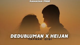 Dedublüman X Heijan  Bunca Yıl Mix Ramazan Prod Yaprak Gibi [upl. by Rhonda]