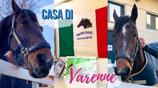 La casa di Varenne  🐴 HORSE PLANET [upl. by Aikel]