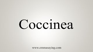 How To Say Coccinea [upl. by Maidie]