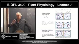 BIOPL3420  Plant Physiology  Lecture 7 [upl. by Kinchen667]