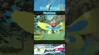 SHINY ALPHA MOTHIM shorts shinypokemonhunter pokemonlegendsarceus shinypokemon pokemon [upl. by Dahsra955]