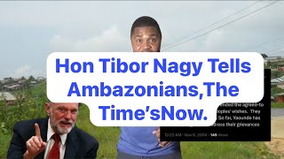 Hon Tibor Nagy Tells AmbazoniansThe Time’sNow [upl. by Nerehs]