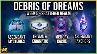 Shattered Realm Debris of Dreams  Ascendant Trivial Enigmatic Mysteries Data Caches  Destiny 2 [upl. by Fortna]