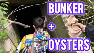 Oyster Mushrooms  Bunker Visit  Spring Foraging [upl. by Mariand]