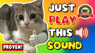 Mother cat calling for her kittens sound effect ⭐ mom cat sounds [upl. by Zile]